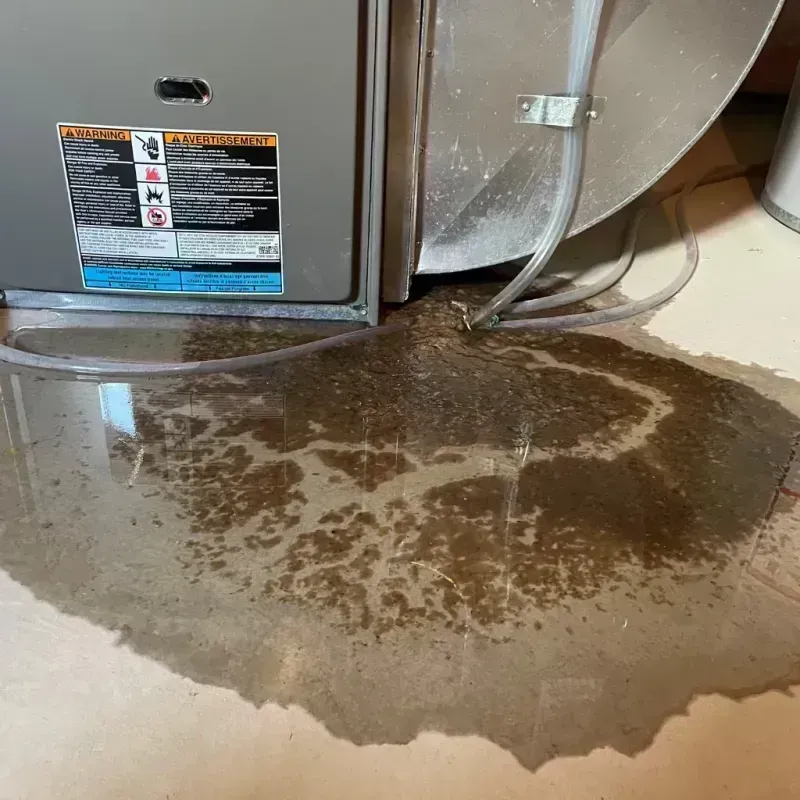 Appliance Leak Cleanup in Pearsall, TX